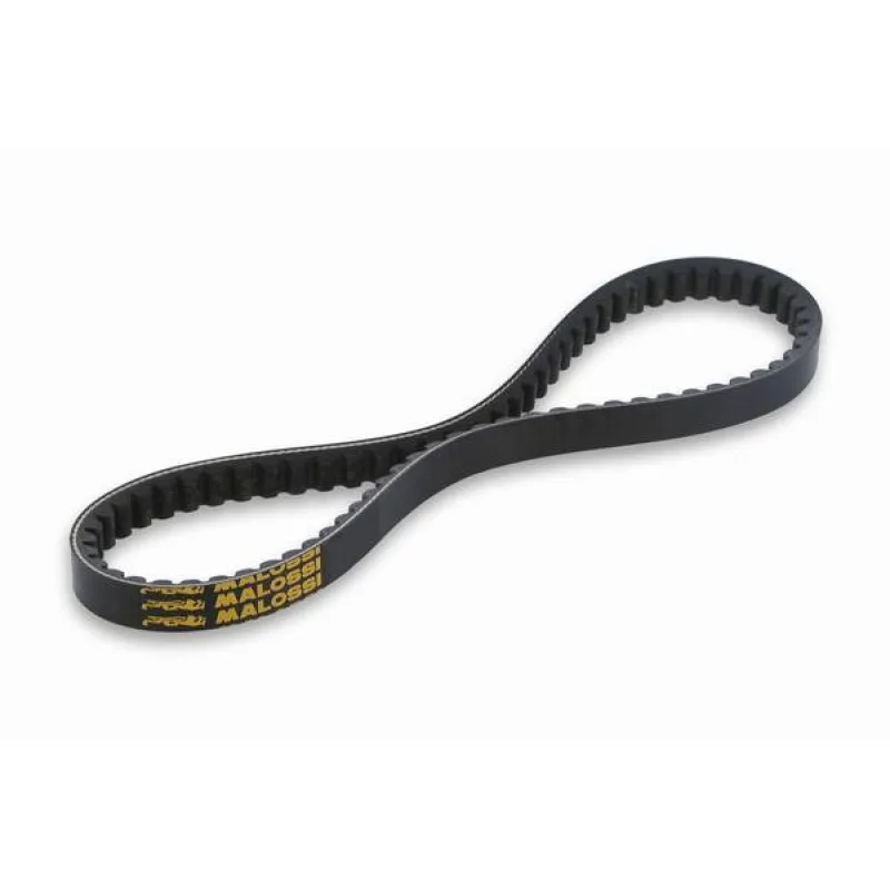 Courroie X SPECIAL Belt 810mm x 18.7 x 8