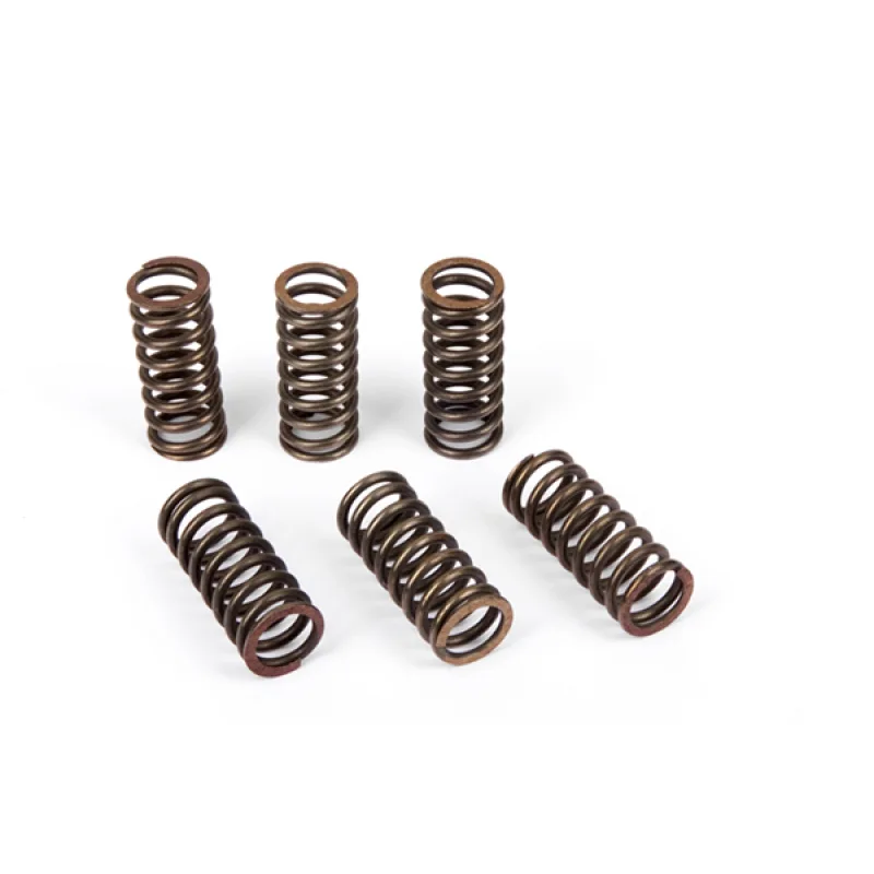 Kit Ressorts d'embrayage (6pcs) Kawasaki Kit Ressorts d'embrayage (6pcs) Kawasaki