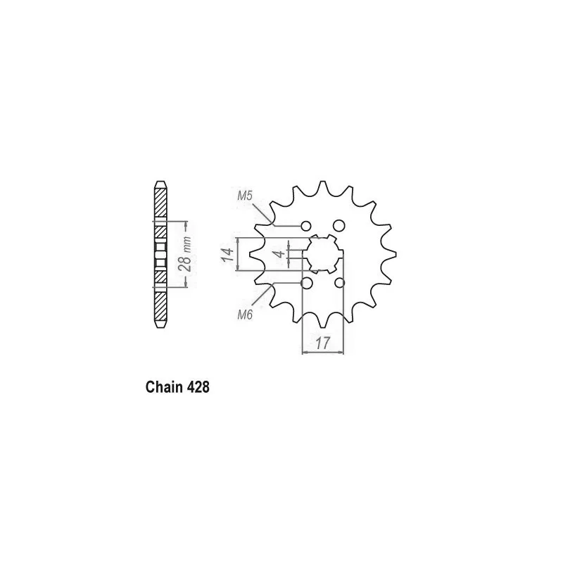 Pignon RS4 125