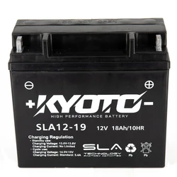 SLA12-19 SLA12-19