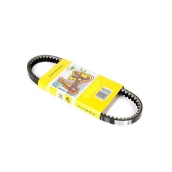 Courroie Haute Performance Courroie Haute Performance