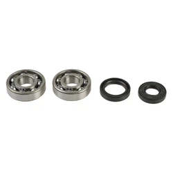 Kit Révision Vilebrequin Spy + Roulements Kx125 1988-2005 Kit Révision Vilebrequin Spy + Roulements Kx125 1988-2005