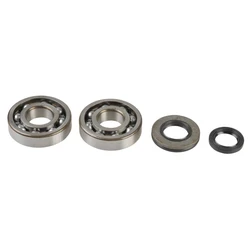 Kit Révision Vilebrequin Spy + Roulements Rm250 2003-2005 Kit Révision Vilebrequin Spy + Roulements Rm250 2003-2005