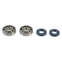 Kit Révision Vilebrequin Spy + Roulements Kx/Rm 60/65/80/85 1985-2005 Kit Révision Vilebrequin Spy + Roulements Kx/Rm 60/65/80/85 1985-2005