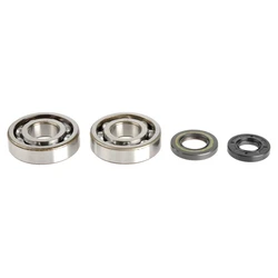 Kit Révision Vilebrequin Spy + Roulements Kx250 1993-2002 Kit Révision Vilebrequin Spy + Roulements Kx250 1993-2002