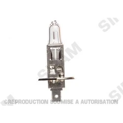 Ampoule H1 - 12V 55W P14.5s Ampoule H1 - 12V 55W P14.5s