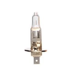 Ampoule H1 Symétrique - 12V 55W P14.5s Ampoule H1 Symétrique - 12V 55W P14.5s