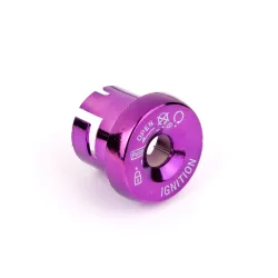 Capuchon de Contacteur à Clé Violet Adaptable Ovetto, Nitro Capuchon de Contacteur à Clé Violet Adaptable Ovetto, Nitro