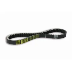 Courroie XK Belt 796mm x 22 x 9.3 Courroie XK Belt 796mm x 22 x 9.3