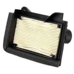 Filtre à Air Carter Gauche YAMAHA T-MAX 530 (17/19) Filtre à Air Carter Gauche YAMAHA T-MAX 530 (17/19)