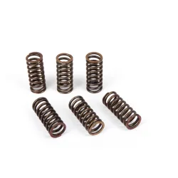 Kit Ressorts d'embrayage (4pcs) Suzuki
