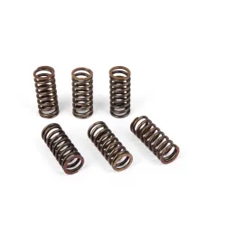 Kit Ressorts d'embrayage (6pcs) Honda - Kawasaki