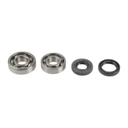 Kit Révision Vilebrequin Spy + Roulements Yz80 1993-2001 Kit Révision Vilebrequin Spy + Roulements Yz80 1993-2001