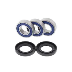 Kit Roulements de Roue Ar + Spy YAMAHA TT-R 250 1999-2005 Kit Roulements de Roue Ar + Spy YAMAHA TT-R 250 1999-2005