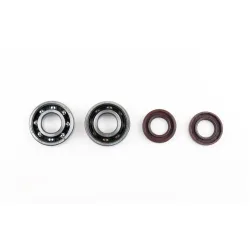 Kit Spy+Roul. Vilebrequin SKF Kit Spy+Roul. Vilebrequin SKF