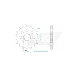 Pignon Esjot Lightweight Pignon Esjot Lightweight